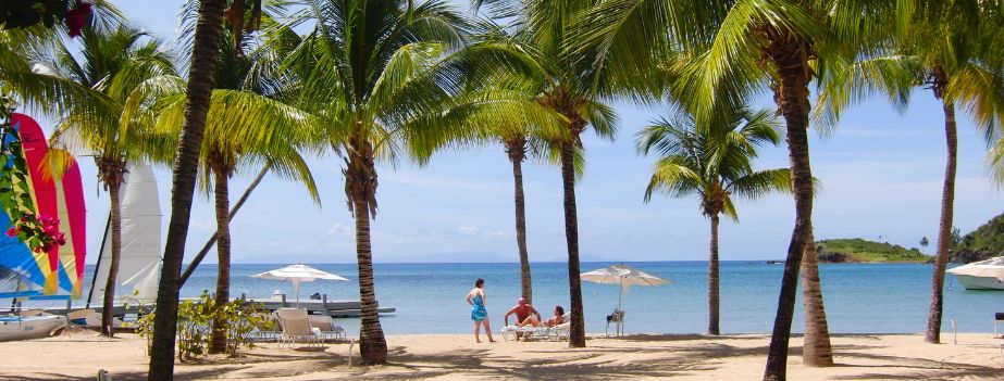 plage sous les palmiers lors d'une croisière au Caraïbes