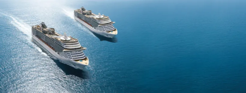 Deux navires MSC en mer