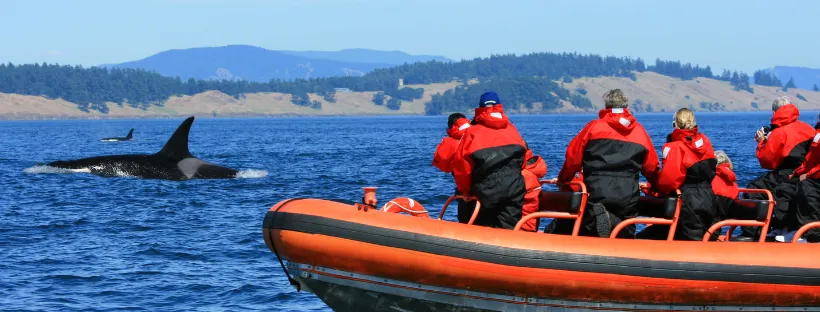 Sortie en zodiac lors d'une croisière d'expédition