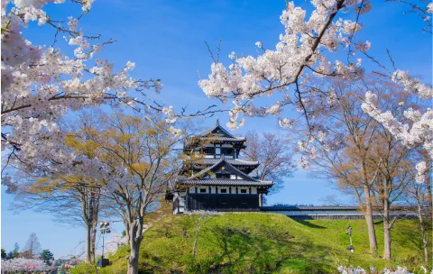 Croisière Horizons Japonais