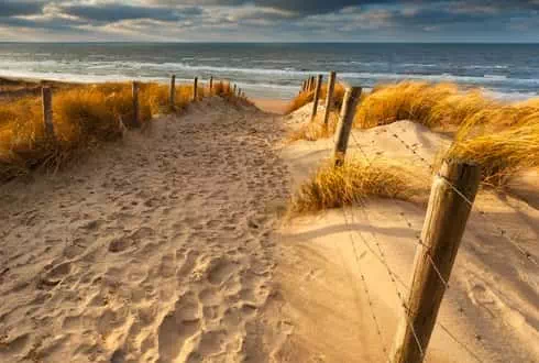 Serviette de plage dauphin - France