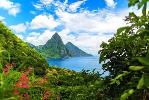 Croisière Direction Soleil et Noix de Coco