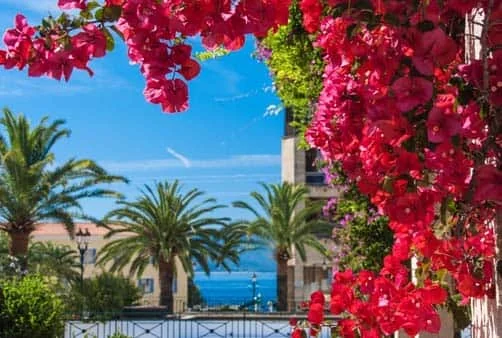 Croisière Rois et Empereurs