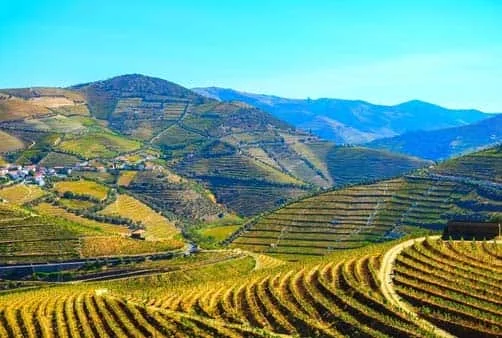 Croisière Croisière famille : De Porto vers l\'Espagne, la vallée du Douro et Salamanque (formule port/port) (POP_FAMPP)