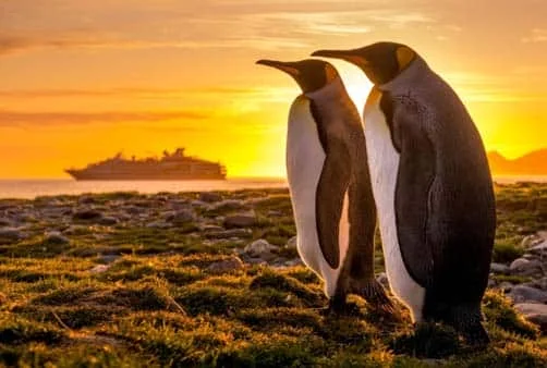 Croisière L’Antarctique emblématique