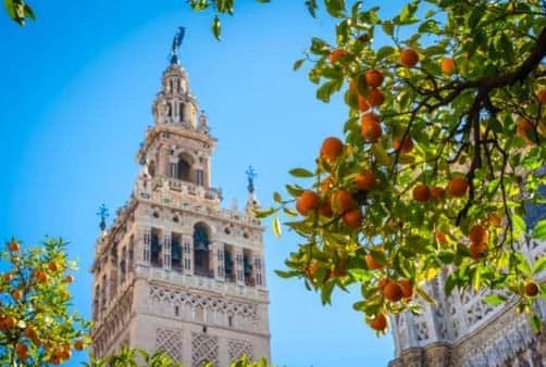 Croisière La route du jambon et des villages blancs - L'Andalousie authentique : architecture, traditions et spécialités culinaires (formule port/port) (SVS_ANDPP)