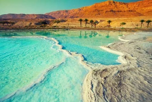 Croisière Dubaï (Emirats Arabes Unis), Sir Bani Yas Isl...
