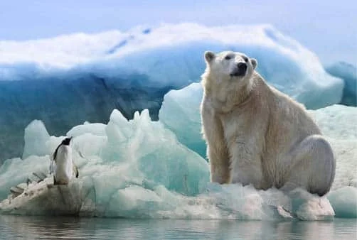 Croisière Montreal (Canada), Québec (Canada), Québec (C...