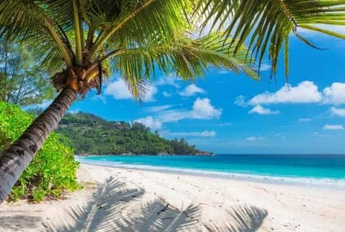 Croisière Fort de France (Martinique), Pointe-à-Pitre (...