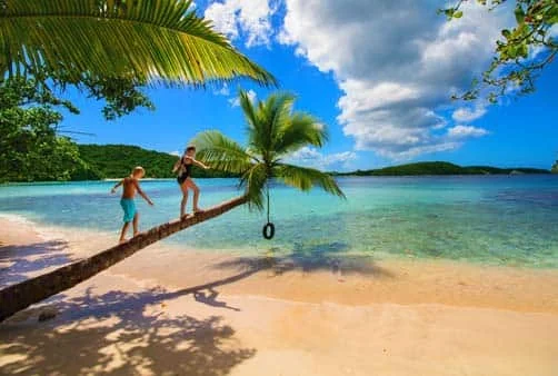 Croisière Direction Soleil et Noix de Coco