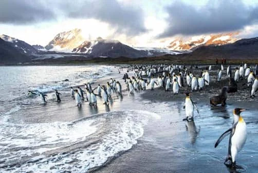 Croisière Puerto Williams (Chili), Traversée du passage...