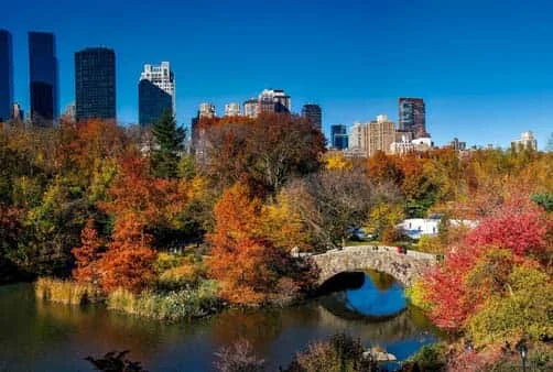 Croisière Québec (Canada), Saguenay (Canada), En mer, C...