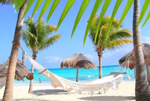 Croisière Direction Soleil et Noix de Coco