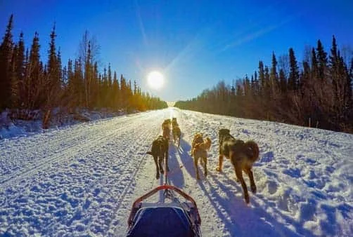 Croisière Tokyo (Japon), En mer, Aomori (Japon), En mer...