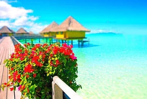 Croisière Îles de la Société et Tuamotu