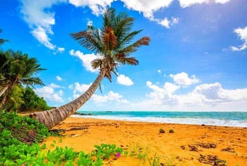 Croisière Los Angeles (Etats-Unis), En mer, En mer, Pue...