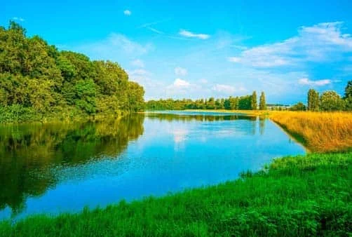 Croisière Croisière sur le Rhin : à la découverte des traditions de Noël et de la magie de l\'Avent (formule port/port) (MNL_FIDPP)