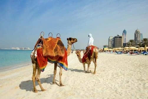 Croisière Jeddah (Arabie Saoudite), Aqaba (Jordanie), S...