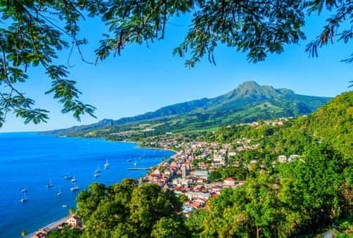 Croisière Direction Soleil et Noix de Coco
