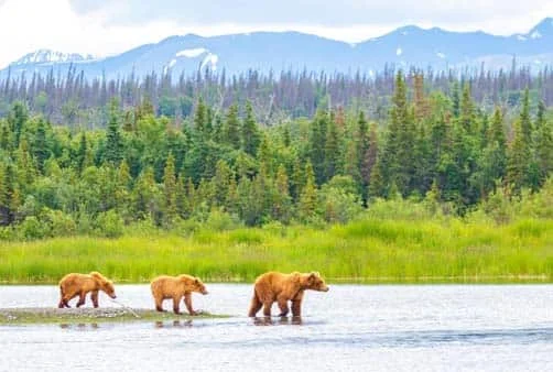 Croisière Honolulu (Hawaï), Honolulu (Hawaï), Kailua Ko...