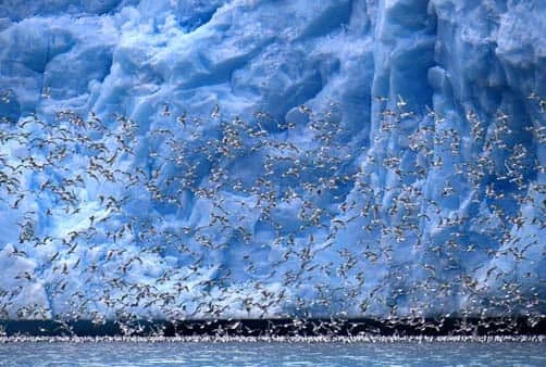 Croisière Le Svalbard inexploré