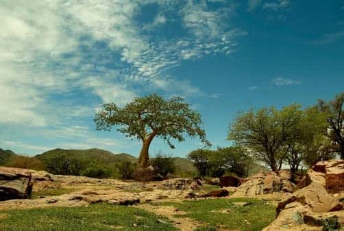 Croisière Afrique méridionale (14F_PP)