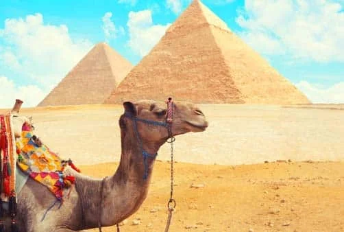 Croisière Croisière sur le Nil : sur la Terre des Pharaons