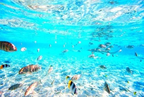 Croisière Tahiti et les îles de la Société