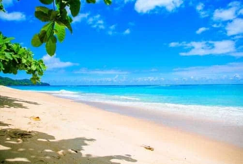 Croisière Brisbane (Australie), En mer, En mer, Mystery...