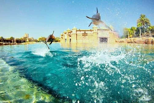 Croisière Athènes (Le Pirée), Port Said (Egypte), Aqaba...