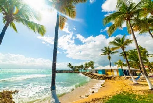 Croisière Direction Soleil et Noix de Coco