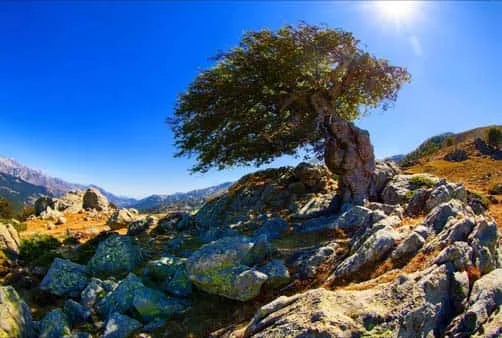 Croisière Grand circuit de Corse au départ de Nice (NAO_PP)