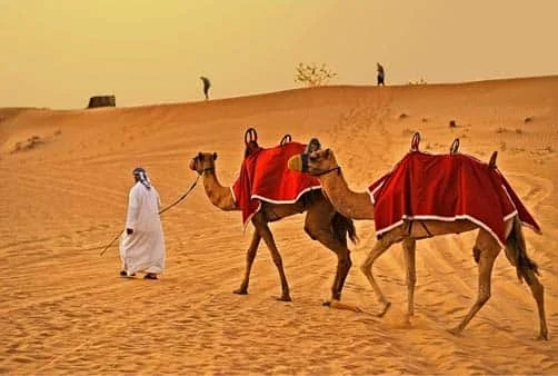 Croisière Dubaï (Emirats Arabes Unis), Dubaï (Emirats A...