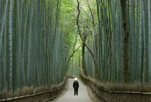 Croisière Singapour, En mer, Phuket (Thaïlande), Langka...