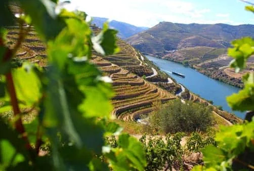 Croisière Porto, vallée de Douro ( POF_PP)