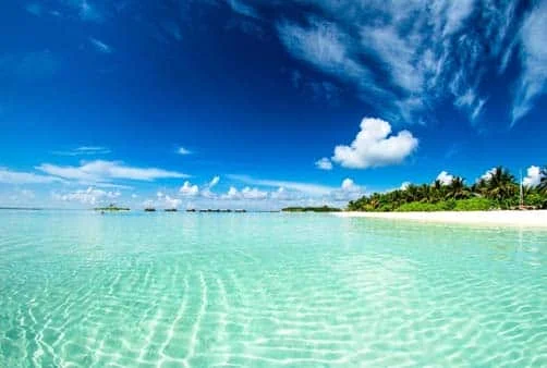 Croisière Cannes, Gênes (Italie), Florence-Pise (La Spe...