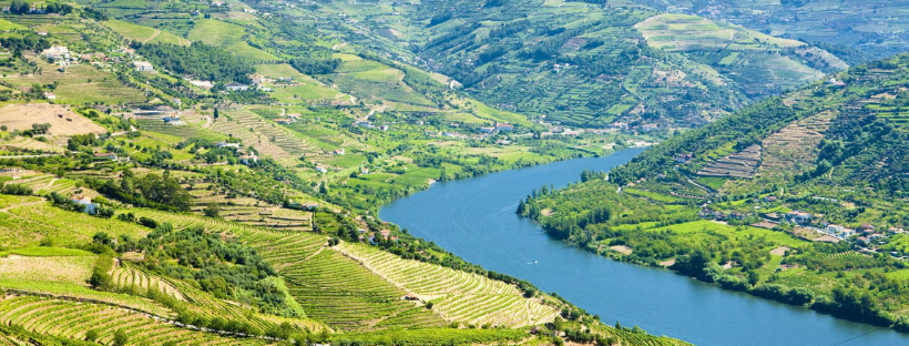 Croisière fluviale Douro