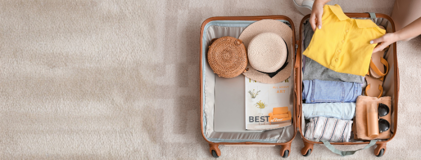 valise