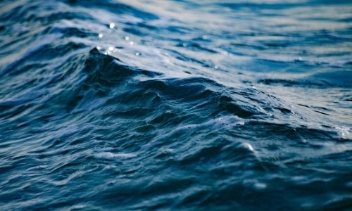 Gros plan sur une petite vague