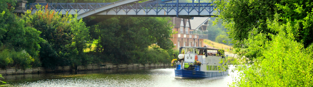 ile-aux-pies-fleuve-maison-arbre-vert-eau-ponton-bateau-croisiere