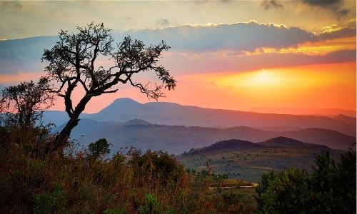 paysage au coucher du soleil d'Afrique 