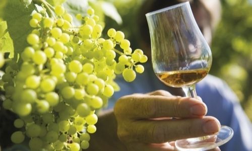 grappe de raisins et verre de cognac tenu par un homme caché par le verre au second plan 
