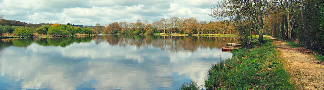 Guenrouet-fleuve-maison-arbre-vert-eau-ponton-bateau-croisiere