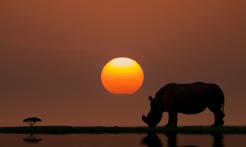 Coucher de soleil sur la Savanne en Afrique