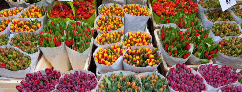 Marché aux fleurs d'Amsterdam