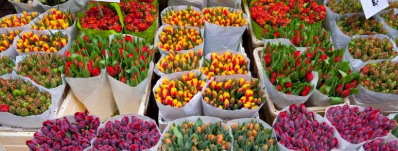 Marché aux fleurs d'Amsterdam