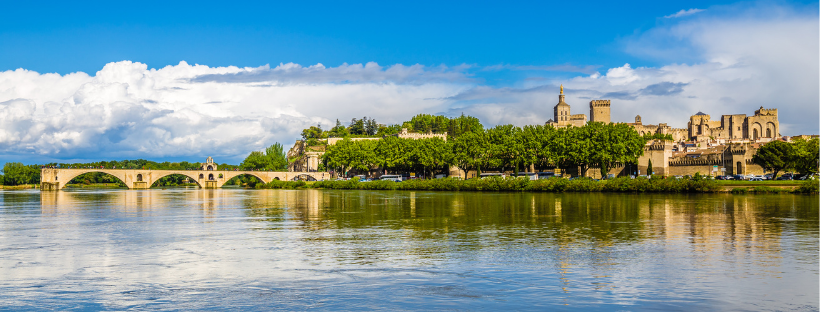 la ville d'Avignon et son célèbre pont 