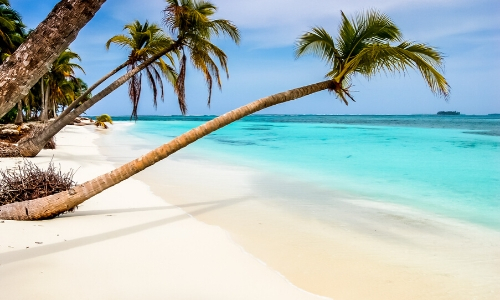 Paysage typique des Caraïbes avec sable blanc et palmiers presque couchés 