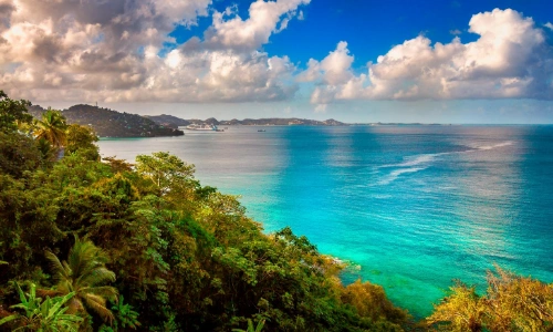 Paysage typique des Caraïbes avec sable blanc et palmiers presque couchés