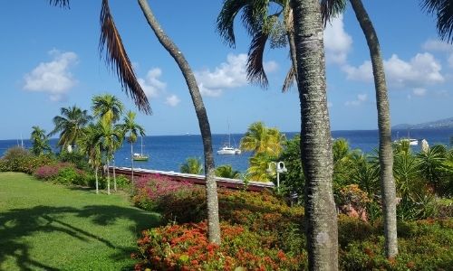 jardin fleuri au premier plan avec des troncs de palmier, au fond la mer